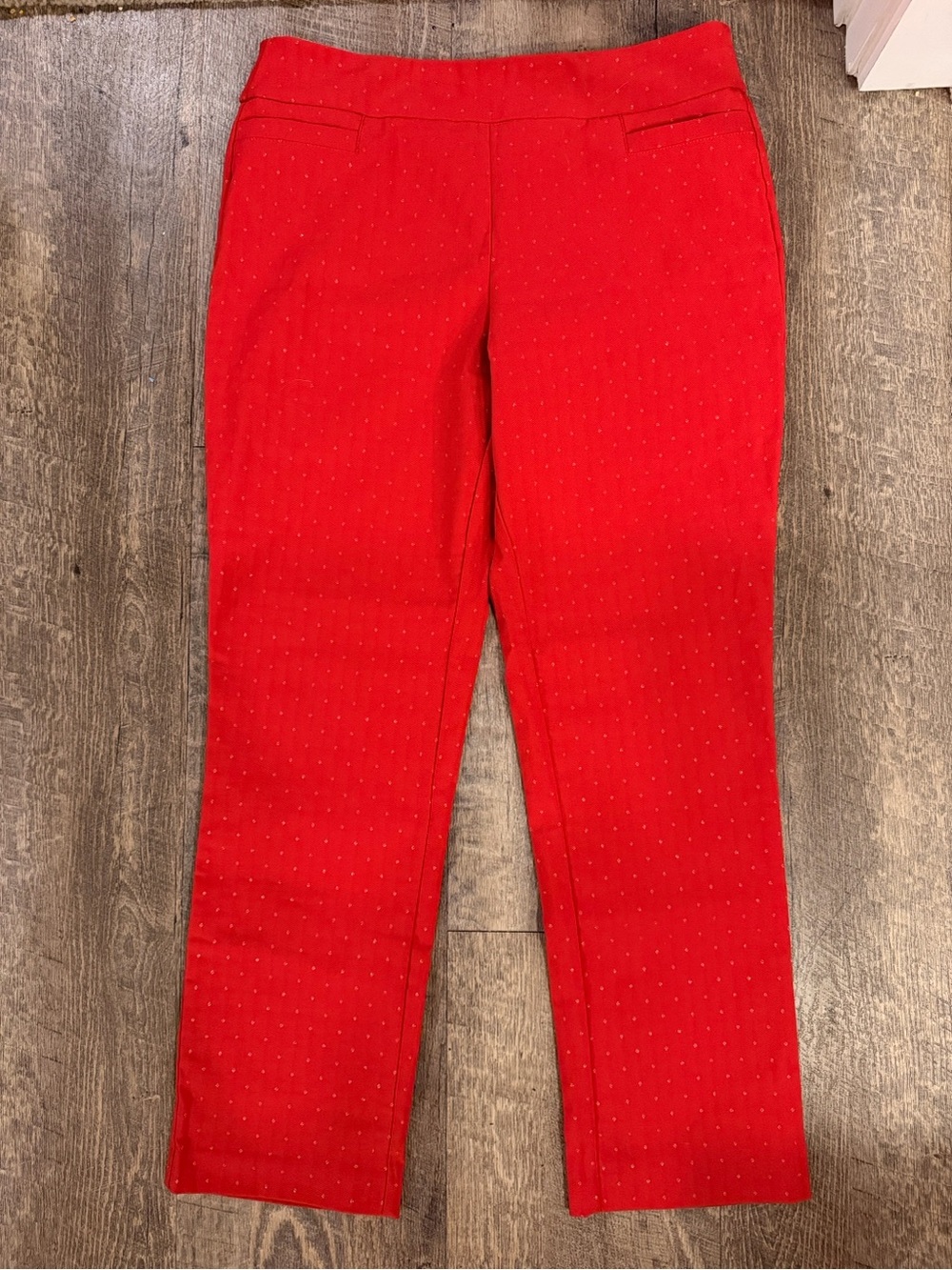 Kim Rogers Bright Red Metallic Detail Pants Women’s 12S Short